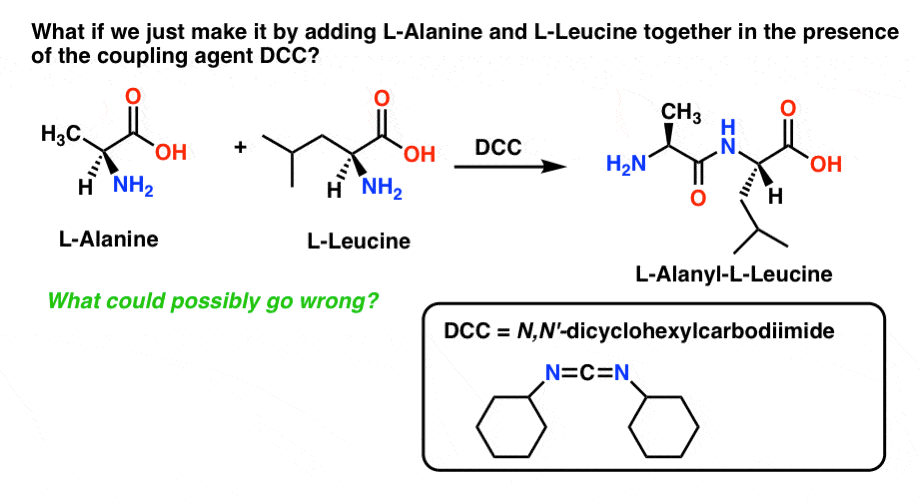 dipeptide molecule sketch