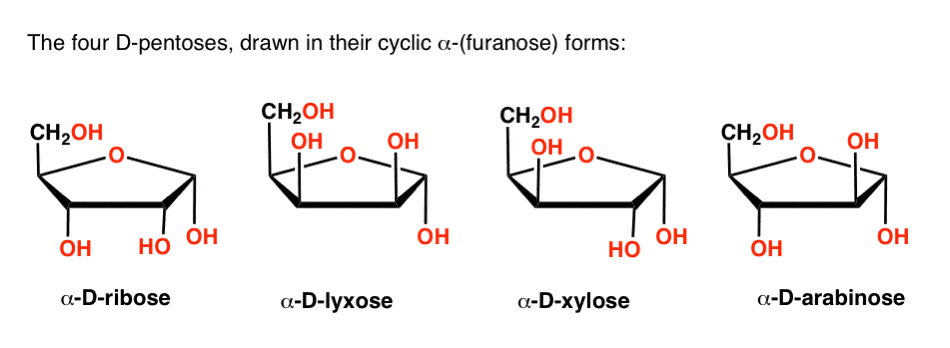 arabinose cyclic structure