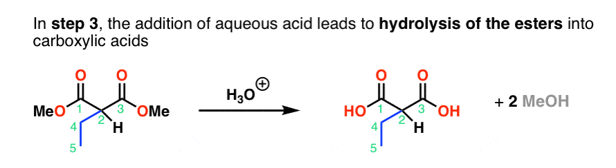 step 3 malonic ester synthesis acidic hydrolysis of ester with aqueous acid