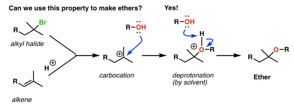 alkyl halide to alkene