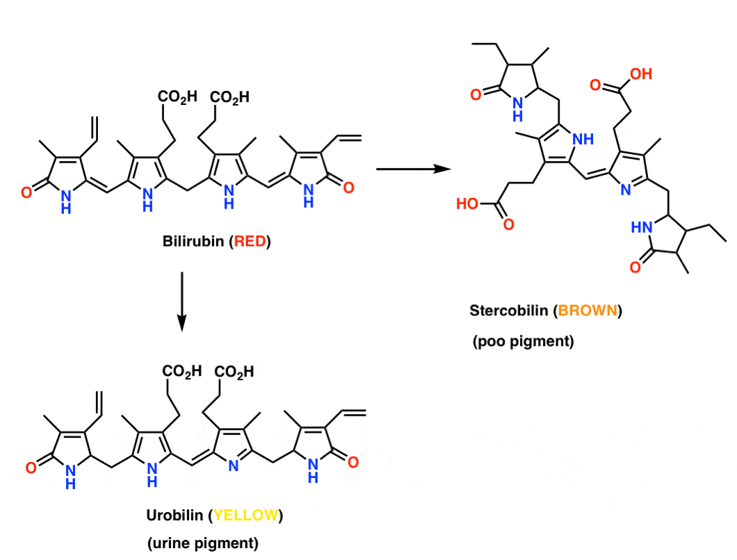 -bilirubin-sự cố