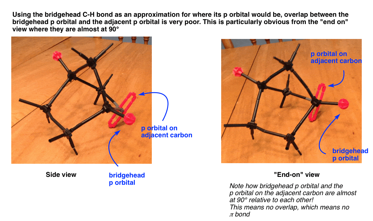 diagram-showing-poor-orbital-overlap-between-bridgehead-p-orbital-and-p-orbital-on-adjacent-carbon-for-2-2-1-bicycloheptene-bredts-rule