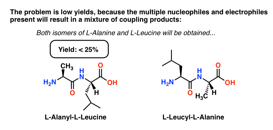 dipeptide synthesis problem without protecting groups mixtures are obtained