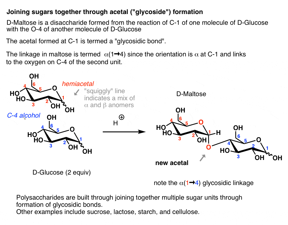 Acetal Group Sugars