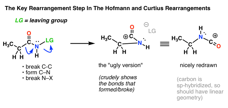 key migration step in the hofmann and curtius rearrangements