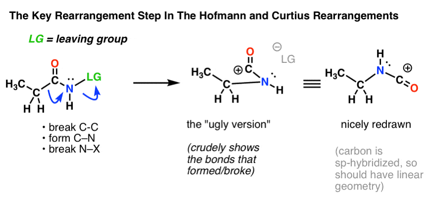 hofmann和curtius重排中的关键迁移步骤