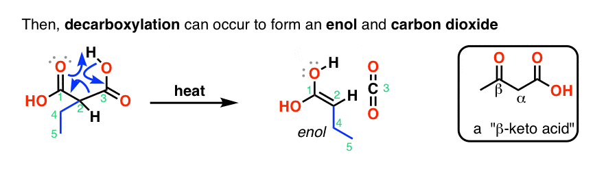 The Malonic Ester And Acetoacetic Ester Synthesis Master Organic Chemistry 0245