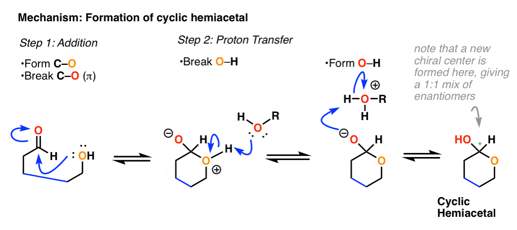 mechanism-for-formation-of-a-cyclic-hemiacetal-addition-then-proton-transfe