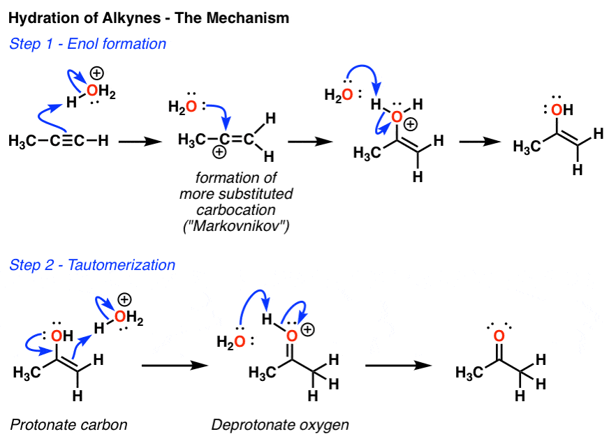 mechanism for hydration of alkyne with acid and water proceding through vinyl carbocation then enol and then tautomerization to give ketone markovnikov
