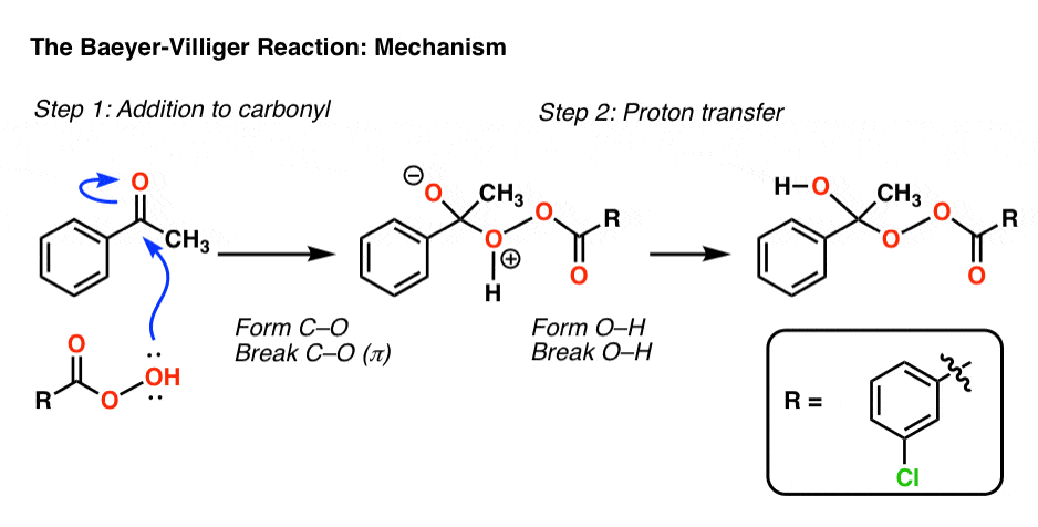 mechanism of baeyer villiger reaction step 1 is addition to carbonyl with peroxyacid step 2 is proton transfer