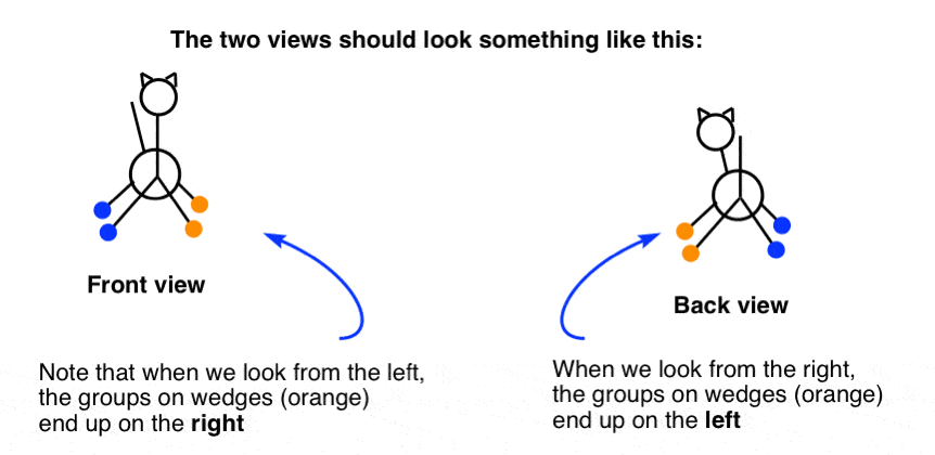 Solved The right view needs to be projected from the front