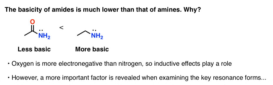 why is basicity of amides much lower than that of amines