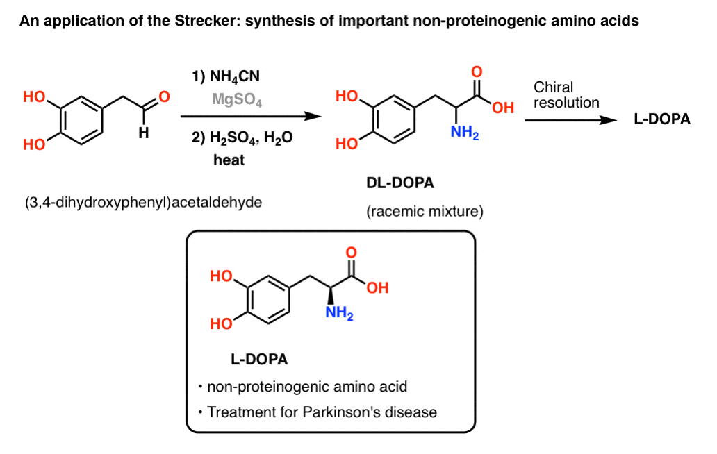 استفاده از سنتز استرکر در ساخت اسید آمینه غیر پروتئین زا l dopa
