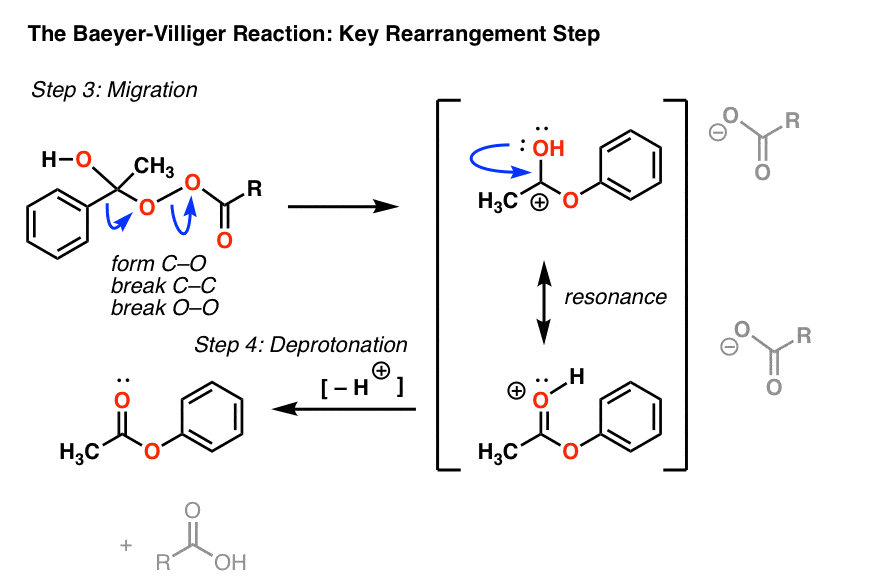 baeyer villiger reaction key rearrangement step mechanism
