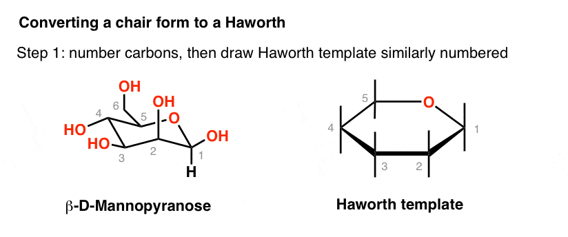 maltose chair conformation