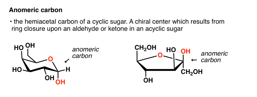 definition-of-anomeric-carbon-is-the-carbon-of-a-cyclic-sugar-bearing-a-hemiacetal-or-acetal