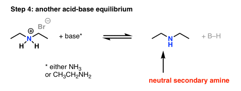 deprotonation of secondary ammonium to give secondary amine