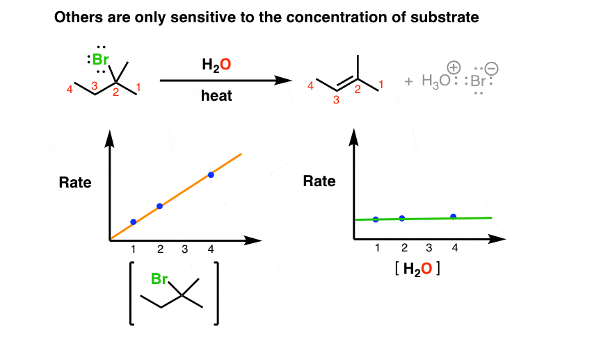 e1 reaction rate only depends on concentration of alkyl halide