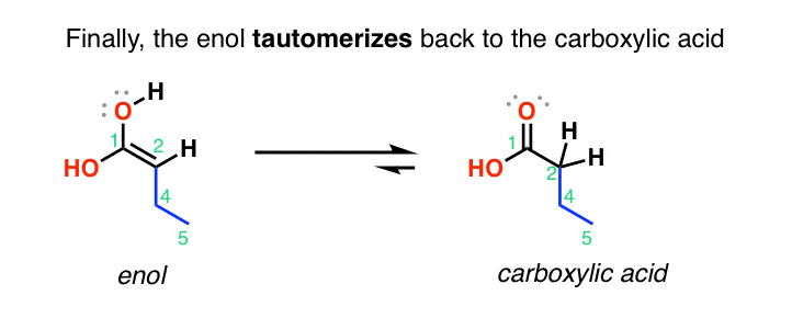 malonic ester synthesis mechanism tautomerization