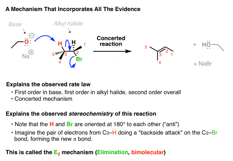 mechanism of the e2 reaction is one step deprotonation by base giving new alkene followed by loss of leaving group explains stereochemistry e2 mechanism