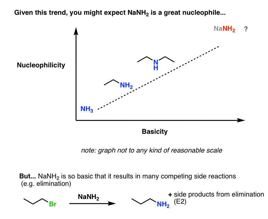 nanh2 is extremely basic so you might expect it to be a great nucleophile but it is not