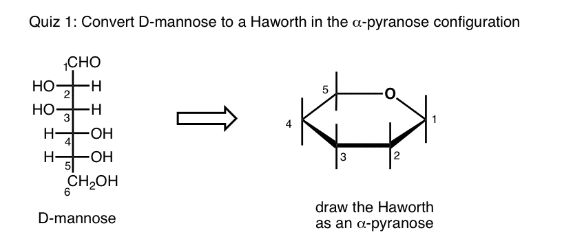 Converting A Fischer Projection To A Haworth And Vice Versa