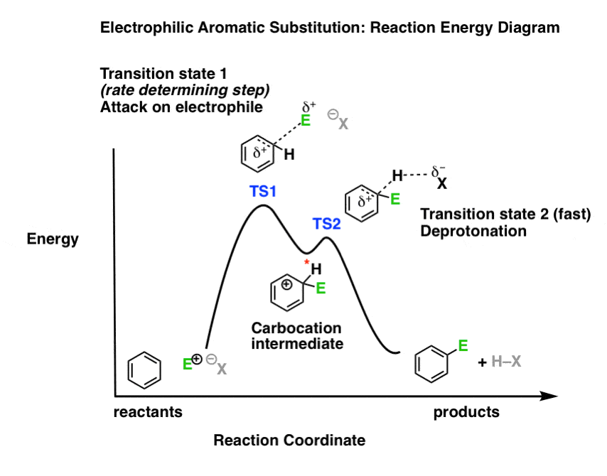 reaction energy diagram of electrophilic aromatic substitution two transition states and carbocation intermediate