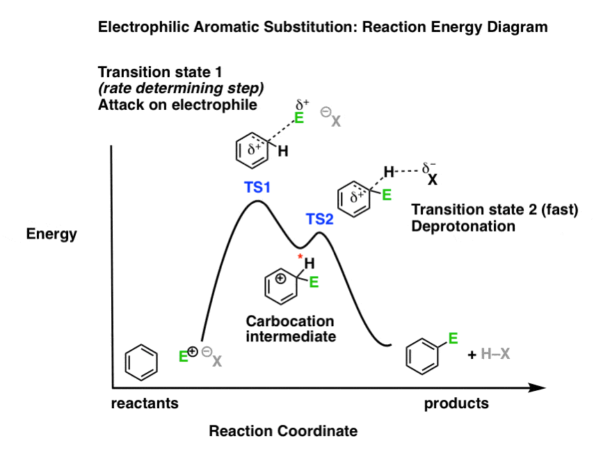 Reaction Energy Diagram