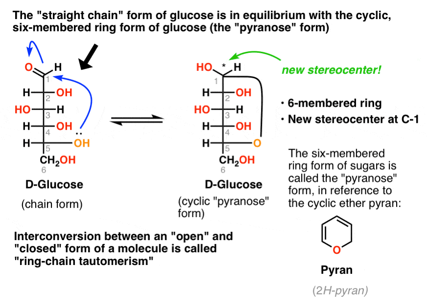 ring-chain-tautomerism-in-glucose-between-open-chain-form-and-cyclic-hemiacetal-form-pyranose-for-six-membered-ring