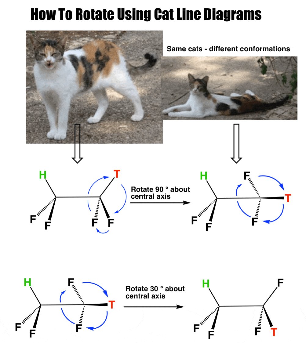 -rotation-using-cat-line-diagrams