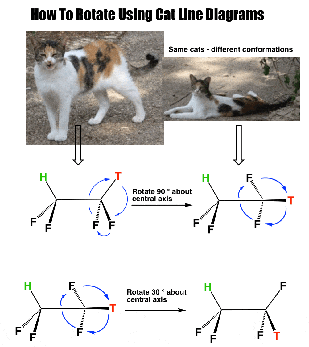 On Cats Part 2 Cat Line Diagrams Master Organic Chemistry