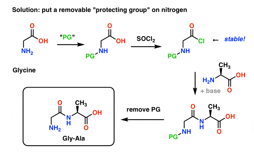 using a protecting group strategy in synthesis of a dipeptide gly ala