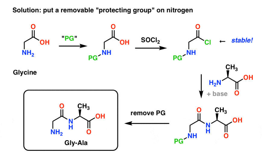 Utilizzare una strategia di gruppo protettivo nella sintesi di un dipeptide gly ala