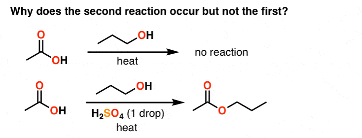 what to expect in org 2 why do carboxylic acids not react with alcohols unless acid is added