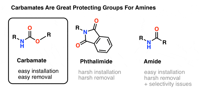 carbamates are great protecting groups for amines