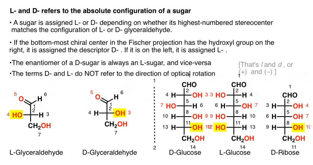 definition-of-l-and-d-is-that-they-refer-to-the-absolute-configuration-of-a-sugar-but-not-direction-of-optical-rotation