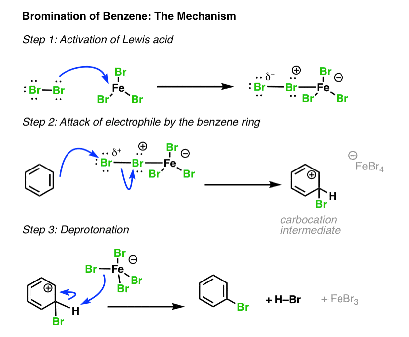 Electrophilic Aromatic Substitutions Chlorination And Bromination