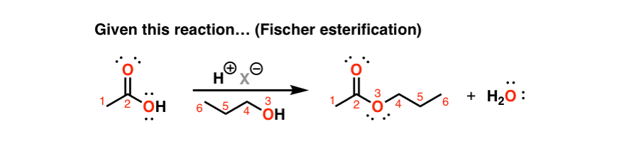 fischer esterification reaction intermolecular