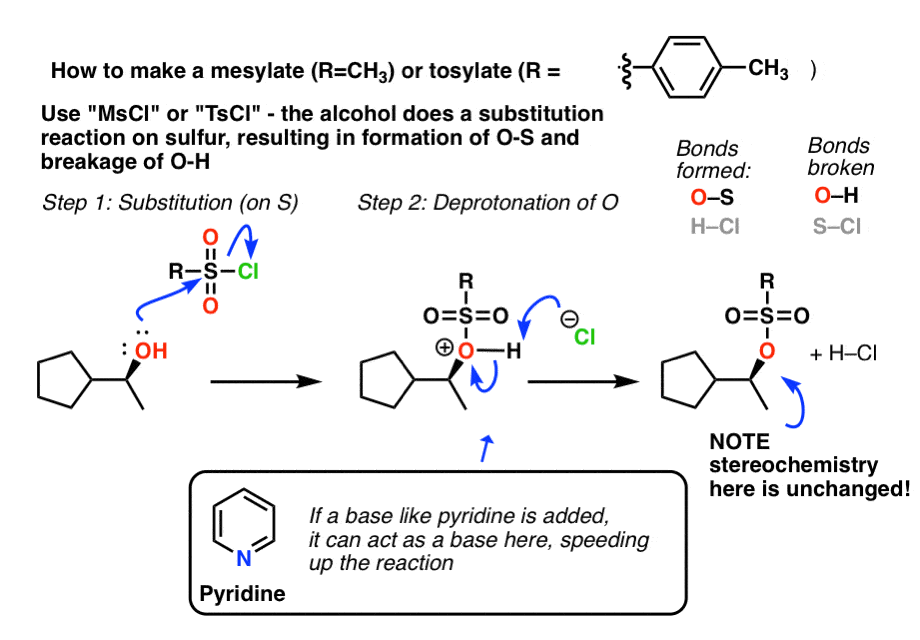 tscl Mechanismus