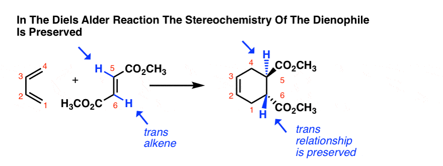 in-the-diels-alder-reaction-the-stereochemistry-of-the-dienophile-is-preserved