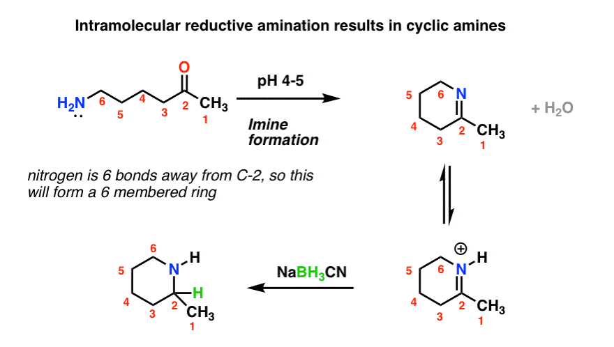 intramolecular reductive amination using amine as nucleophile.