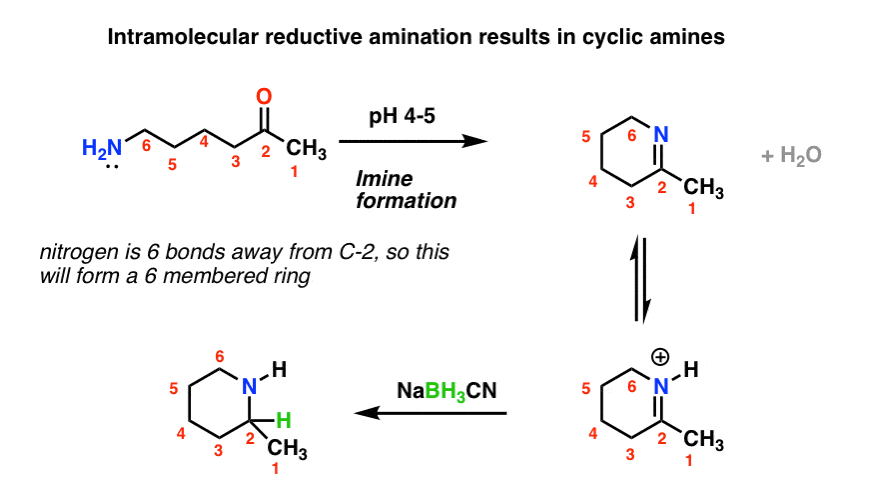 Reductive Amination And How It Works Master Organic Chemistry 3270