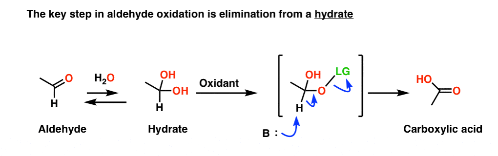 ibiz oxidation