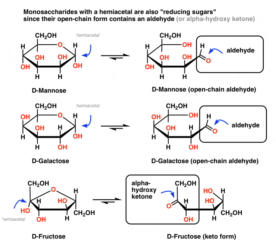 monosaccharides-with-a-hemiacetal-are-also-reducing-sugars-since-their-open-chain-form-contains-an-aldehyde