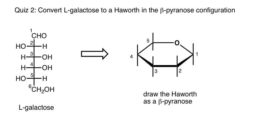 quiz-convert-l-galactose-to-haworth-in-beta-pyranose-configuration