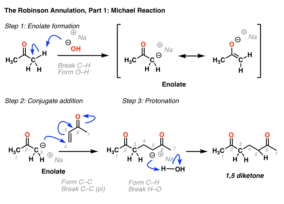 robinson annulation part 1 michael reaction enolate formation michael reaction protonation