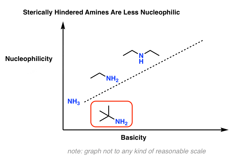 sterically hindered amines are less nucleophilic than we might expect
