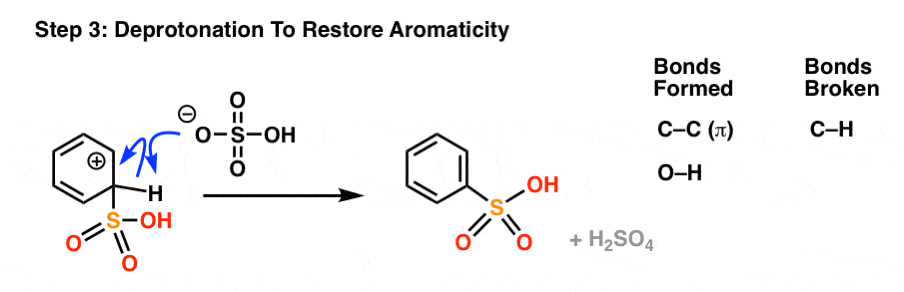 sulfonation of benzene mechanism step 2 deprotonation restoring aromaticity