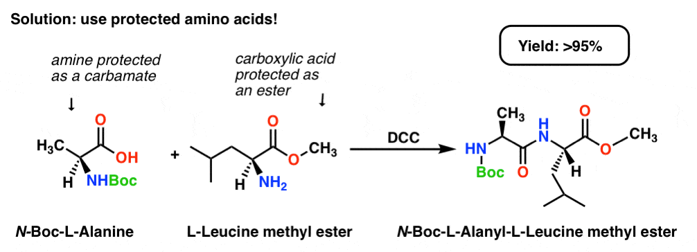 synthesis of a dipeptide using a protecting group strategy boc and dcc