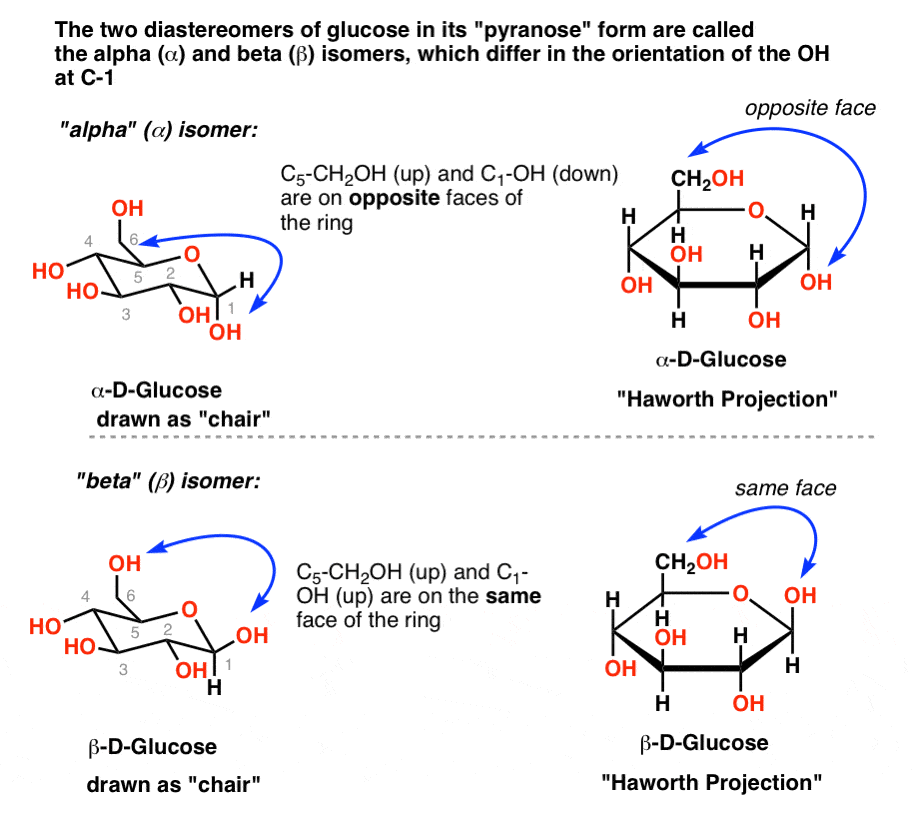 two-diastereomers-of-glucose-in-its-pyranose-form-are-called-the-alpha-and-beta-isomers-which-differ-in-orientation-of-the-oh-at-c1